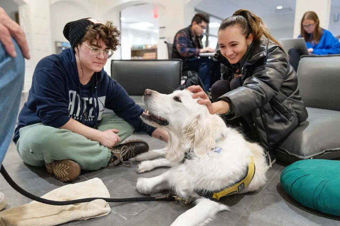 学生们带着宠物治疗犬在巴恩斯中心外.